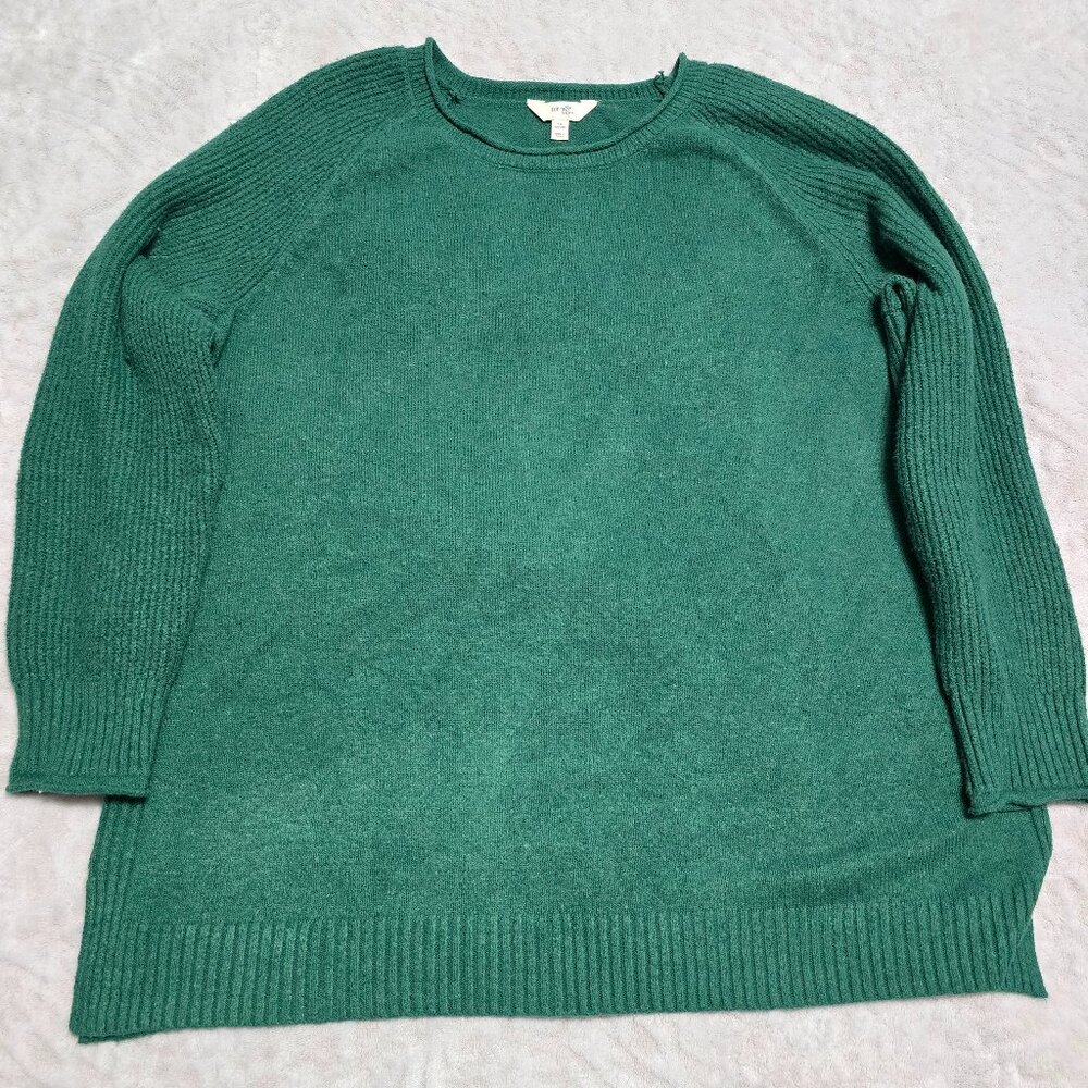Terra & Sky Green Tunic Sweater NWOT 1X
